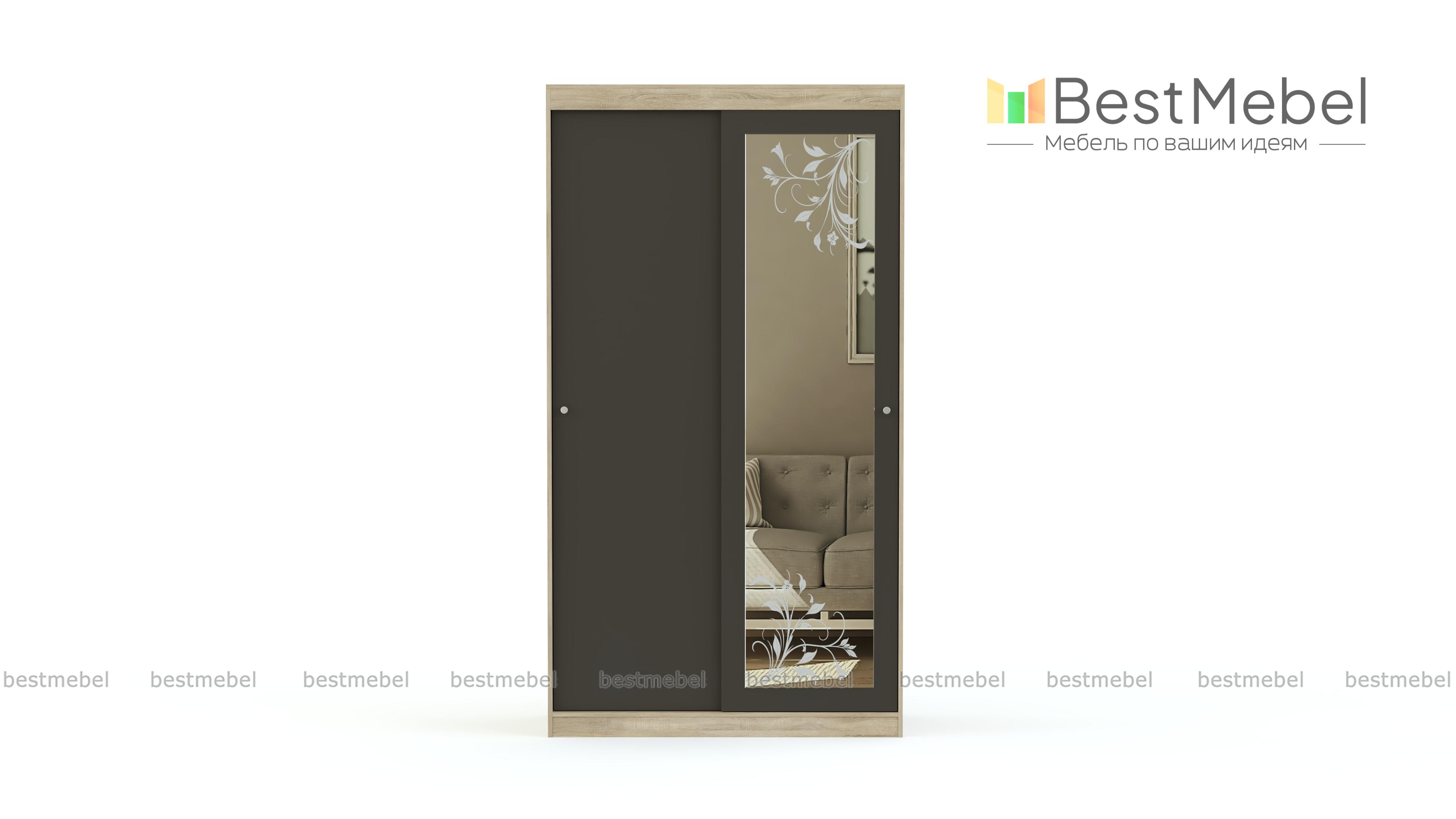 Шкаф-купе Акварель BMS - Фото